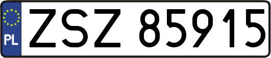 ZSZ85915