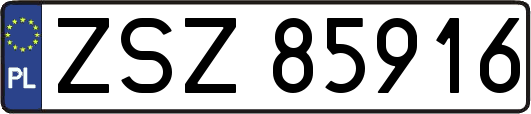 ZSZ85916