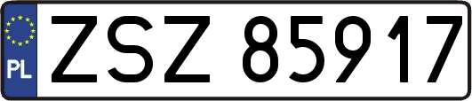 ZSZ85917