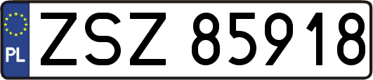 ZSZ85918