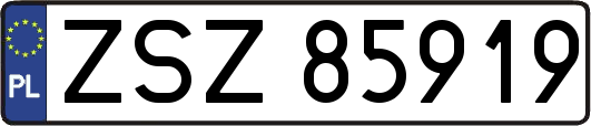 ZSZ85919