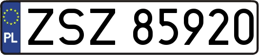ZSZ85920