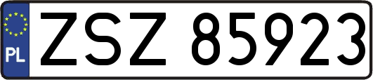 ZSZ85923