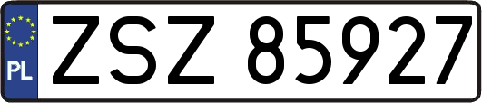 ZSZ85927
