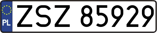 ZSZ85929