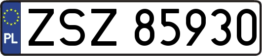 ZSZ85930