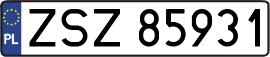 ZSZ85931
