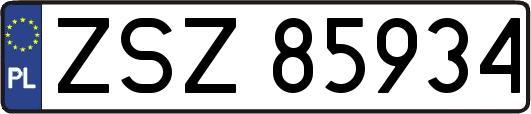 ZSZ85934