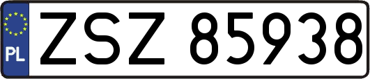ZSZ85938