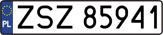 ZSZ85941