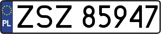 ZSZ85947
