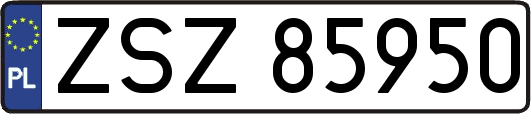 ZSZ85950