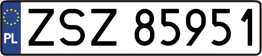 ZSZ85951