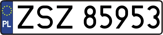 ZSZ85953