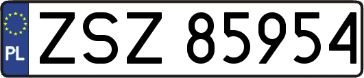 ZSZ85954