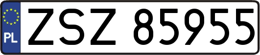 ZSZ85955