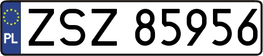 ZSZ85956