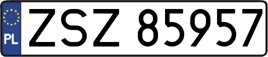 ZSZ85957