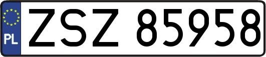 ZSZ85958