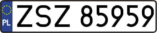 ZSZ85959