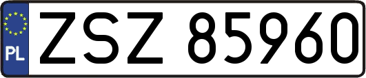 ZSZ85960