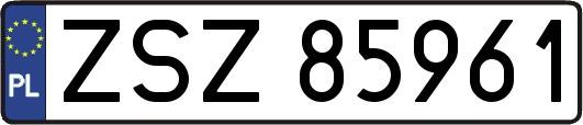 ZSZ85961