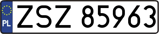 ZSZ85963