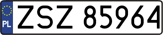 ZSZ85964