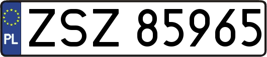 ZSZ85965