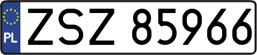 ZSZ85966