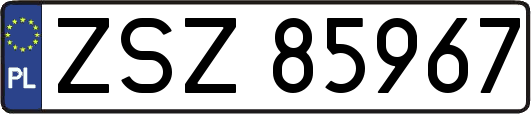 ZSZ85967