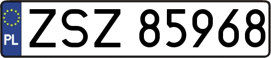 ZSZ85968