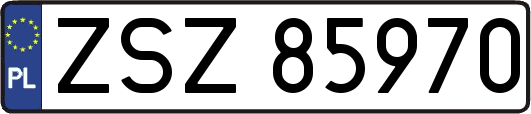 ZSZ85970