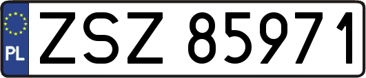ZSZ85971