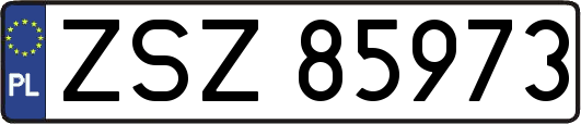 ZSZ85973