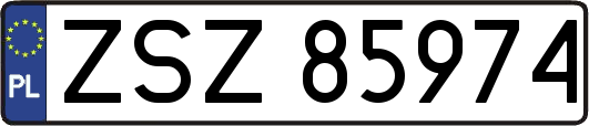 ZSZ85974