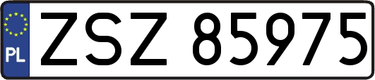 ZSZ85975