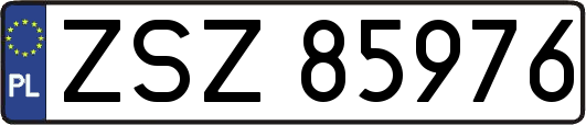 ZSZ85976