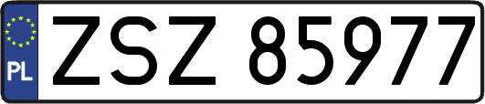 ZSZ85977