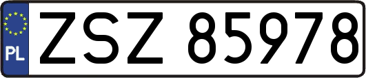 ZSZ85978