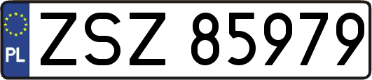 ZSZ85979