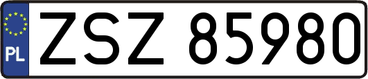 ZSZ85980