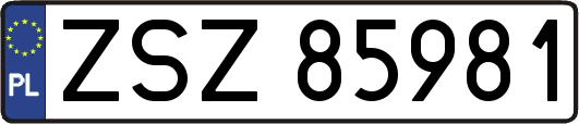ZSZ85981