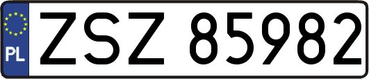 ZSZ85982