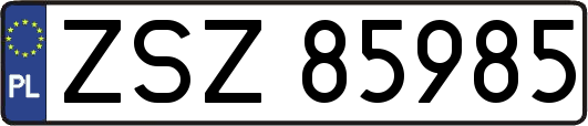 ZSZ85985