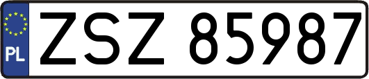 ZSZ85987