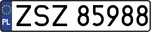 ZSZ85988