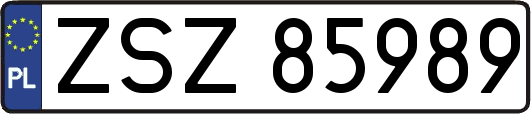 ZSZ85989