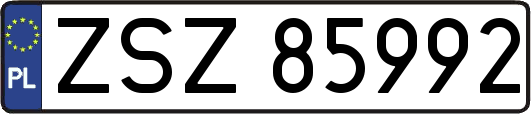 ZSZ85992