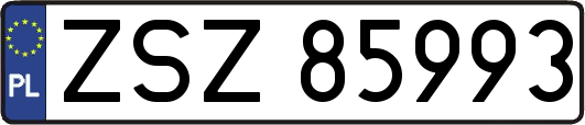 ZSZ85993